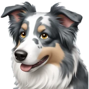 Blue Merle Border Collie  sticker