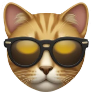 Cat with sunglasses sticker