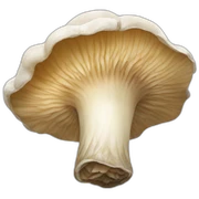 Oyster mushrooms sticker