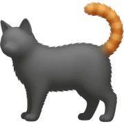 🐈Shadow of a cat, only the tail is visible orange tail in cat
 sticker