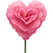 carnation pink heart sticker