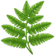 Fern sticker