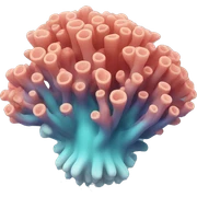 coral sticker