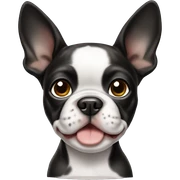 Boston terrier puppy sticker