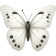 white butterfly sticker