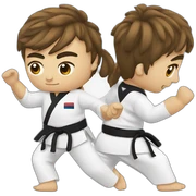 Taekwondo sticker