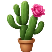 Rose cactus  sticker