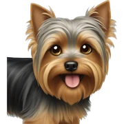 Yorkshire Terrier sticker