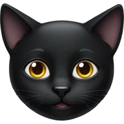 Black cat sticker