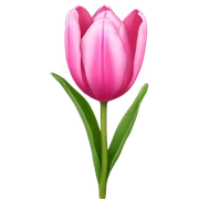 pink tulip sticker