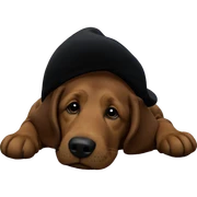 dog in hat indoors sticker