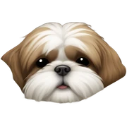 Shih tzu sleep sticker