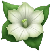 Moonflower sticker