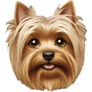 Yorkshire terrier  sticker