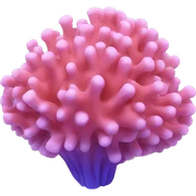 Coral sticker
