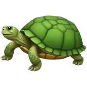 TORTOISE  sticker