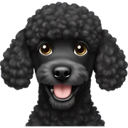 Black poodle smiling sticker