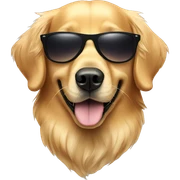 golden retriever wearing sunglasses  sticker