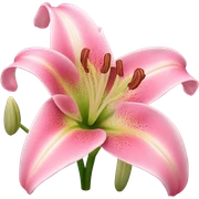 lily flower sticker