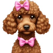 Brown poodle with a pink bow sticker