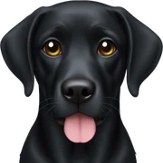 Black lab sticker