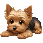 Yorkie puppy laying sticker