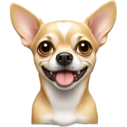 chihuahua  sticker