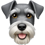 Miniature Schnauzer  sticker