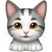 Gatito bebé  sticker