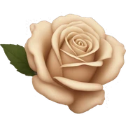beige rose sticker