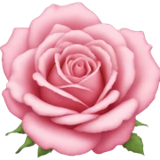 Rose sticker