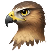 hawk sticker