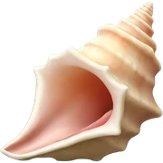 Conch sticker