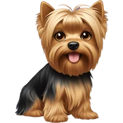 Yorkie sticker