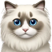 Ragdoll Kitty sticker