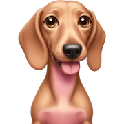 Light pink dashund  sticker
