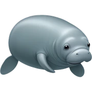 manatee sticker