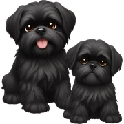 happy black shih tzu puppy and black shi tzu sticker