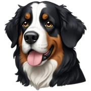 bernese-montain-dog sticker