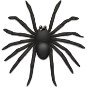 spider sticker