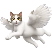 flying cat  sticker