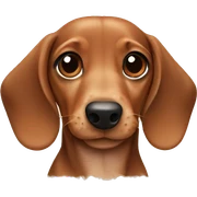 Daschund puppy sticker