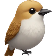 bird sticker