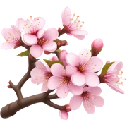 sakura sticker