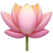 Lotus Flowers sticker