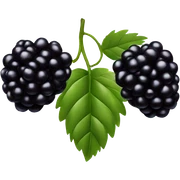 Blackberry sticker