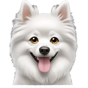 Dog spitz White peacefull sticker