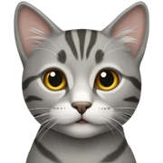 grey-tabby-cat sticker