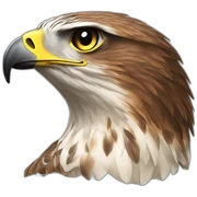 Hawk sticker