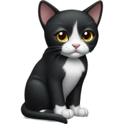 black fold cat sticker